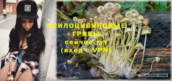 Альфа ПВП Алексин