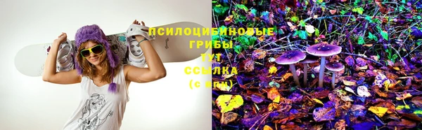 2c-b Алексеевка