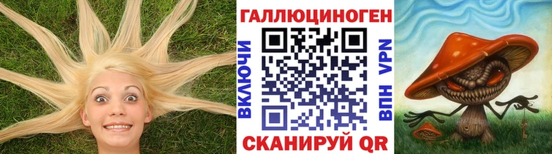 где найти наркотики  Ивангород  Галлюциногенные грибы Psilocybe 